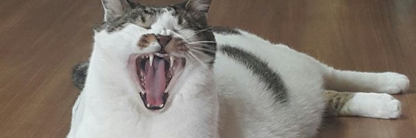 butdowrong Profile Banner