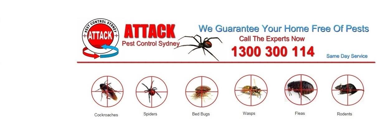 AttackPCS's profile banner image