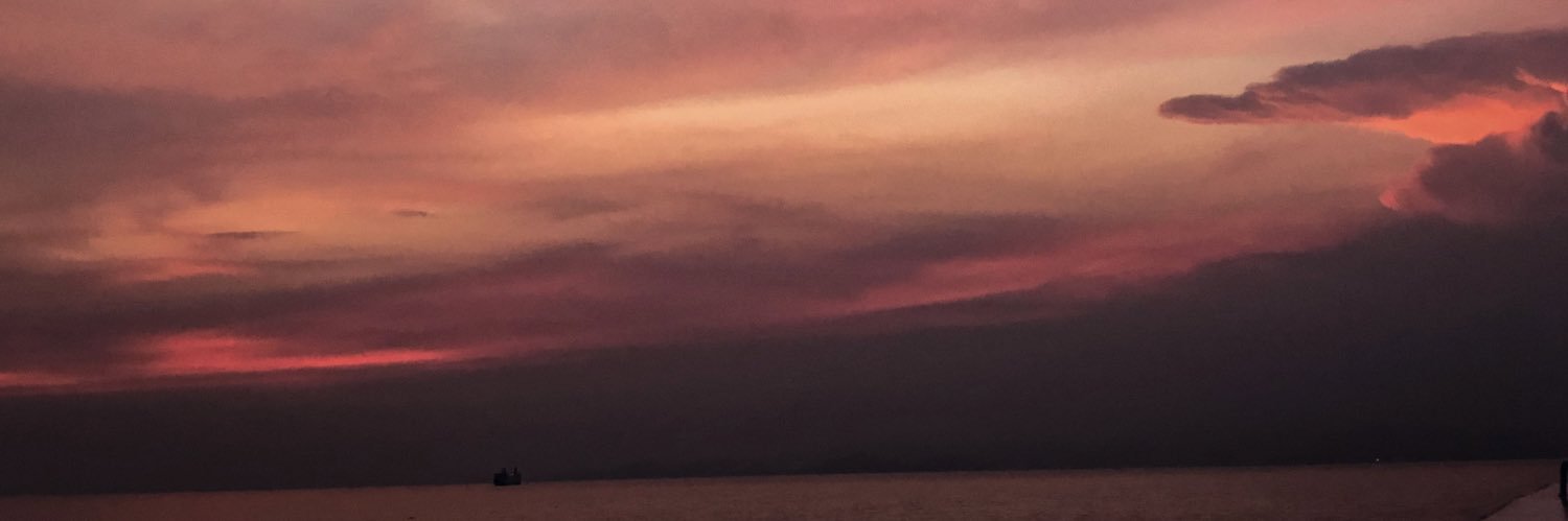 alvonyta's profile banner image