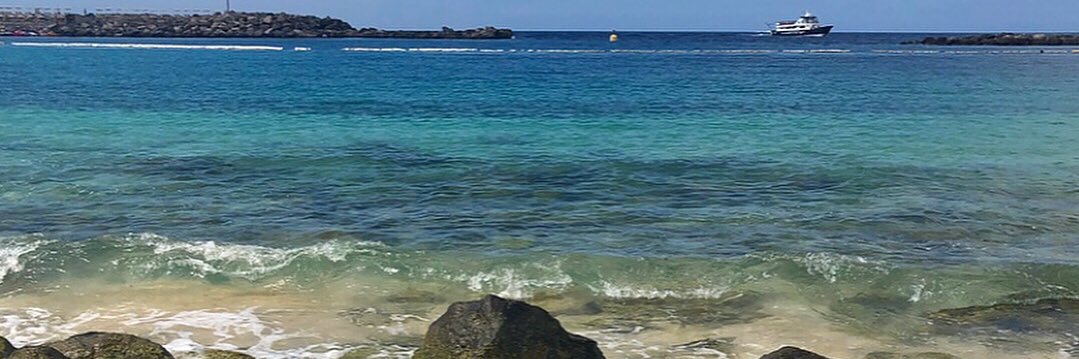 Kelsie Wrixon banner