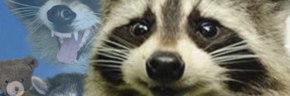 bryaannaa_'s profile banner image