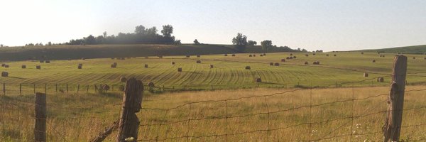 ForageCouncil Profile Banner