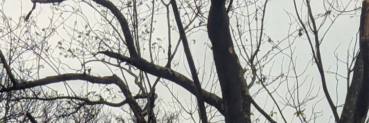 ramnzey's profile banner image