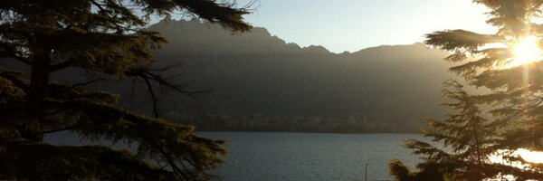 whizzylaw Profile Banner