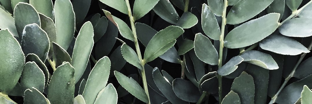 rrensta's profile banner image