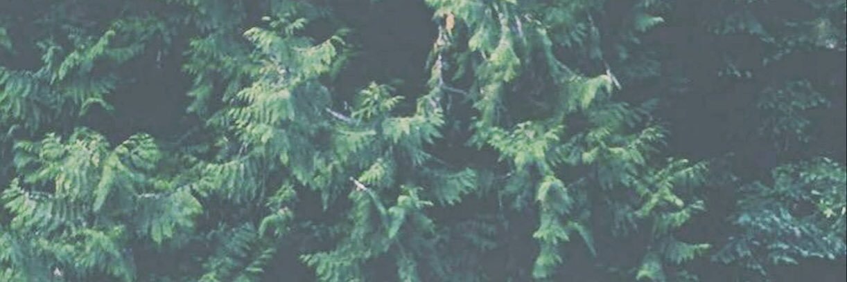 8bitnoodles's profile banner image