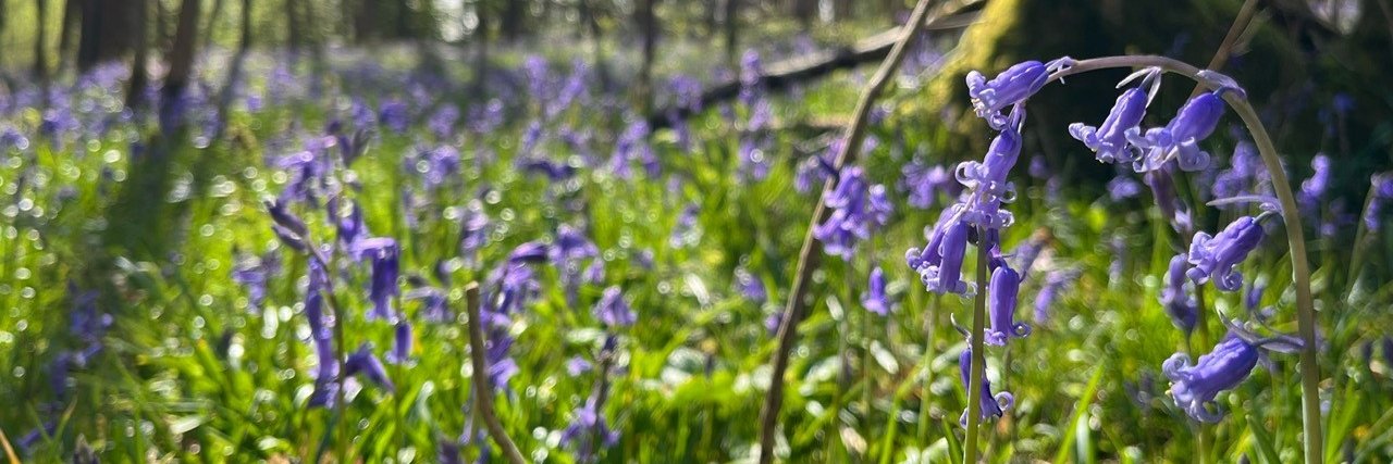 Worcestershire County Council banner