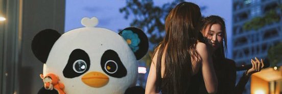 xoxo banner