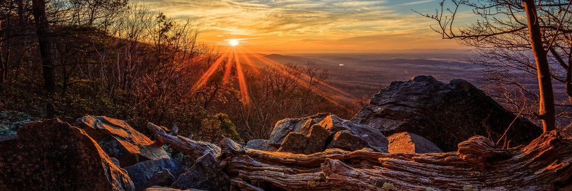 George Fletcher banner