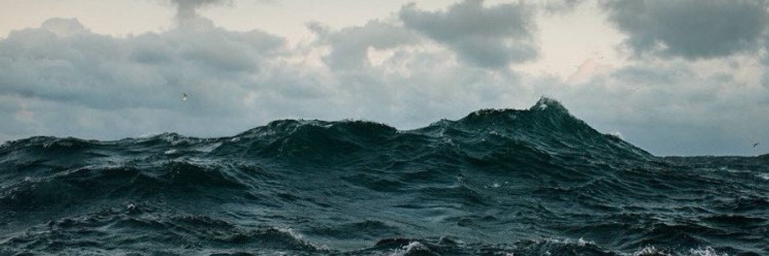aleareces's profile banner image