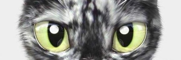 r3al_aki Profile Banner