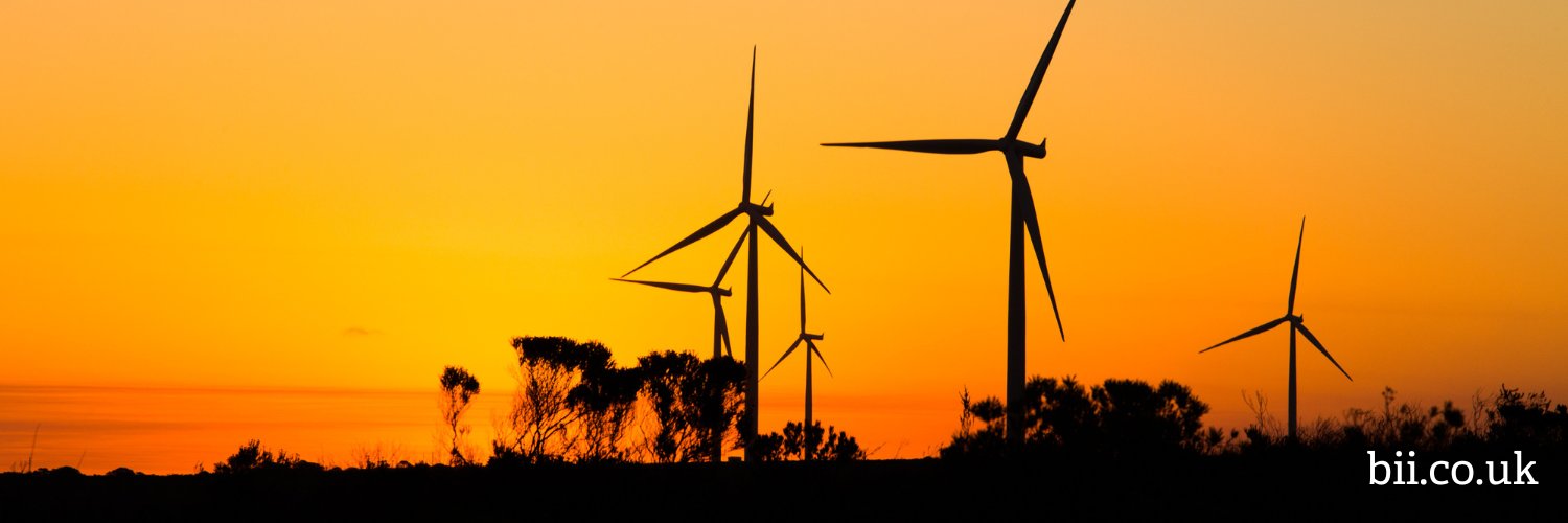 British International Investment banner