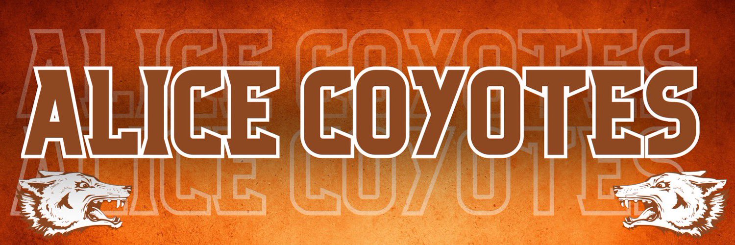 Alice Coyote Baseball Profile Banner