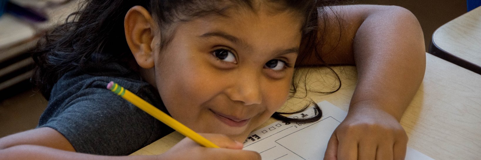 Science of Writing Instruction banner