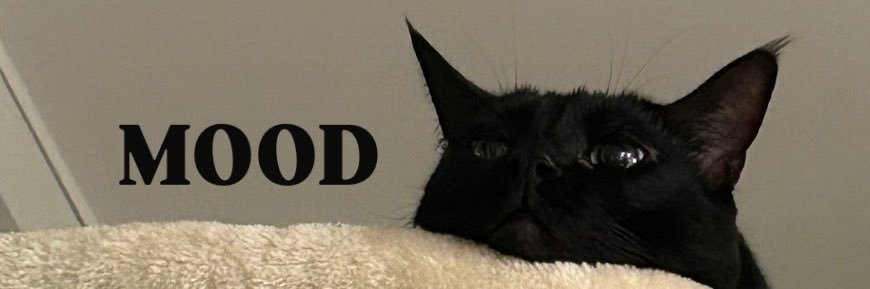 ktschulz's profile banner image