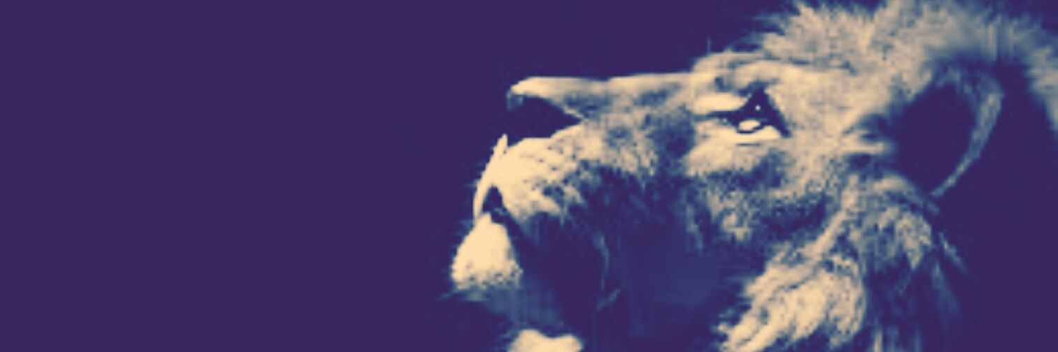 nikolarafael's profile banner image