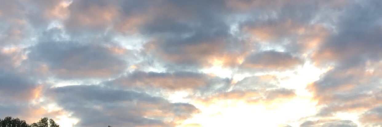 4_this_time_'s profile banner image