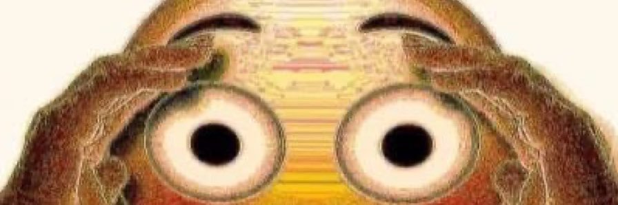 definepiracy's profile banner image