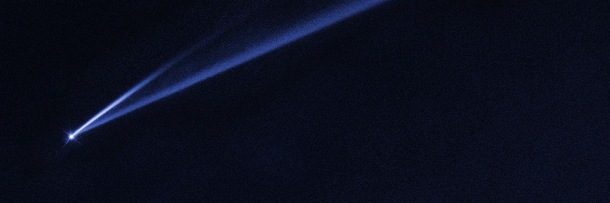 BeeKP0205's profile banner image
