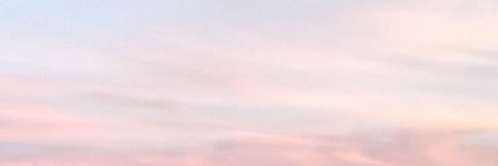 anna_carroll14's profile banner image