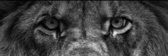moneyproof365's profile banner image