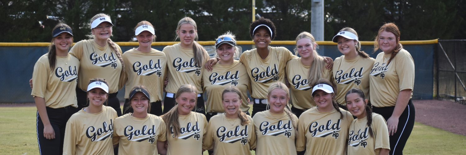 AP Gold 08 Stewart banner