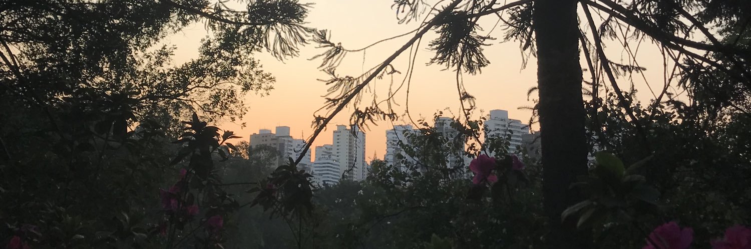 marizeborgneth's profile banner image