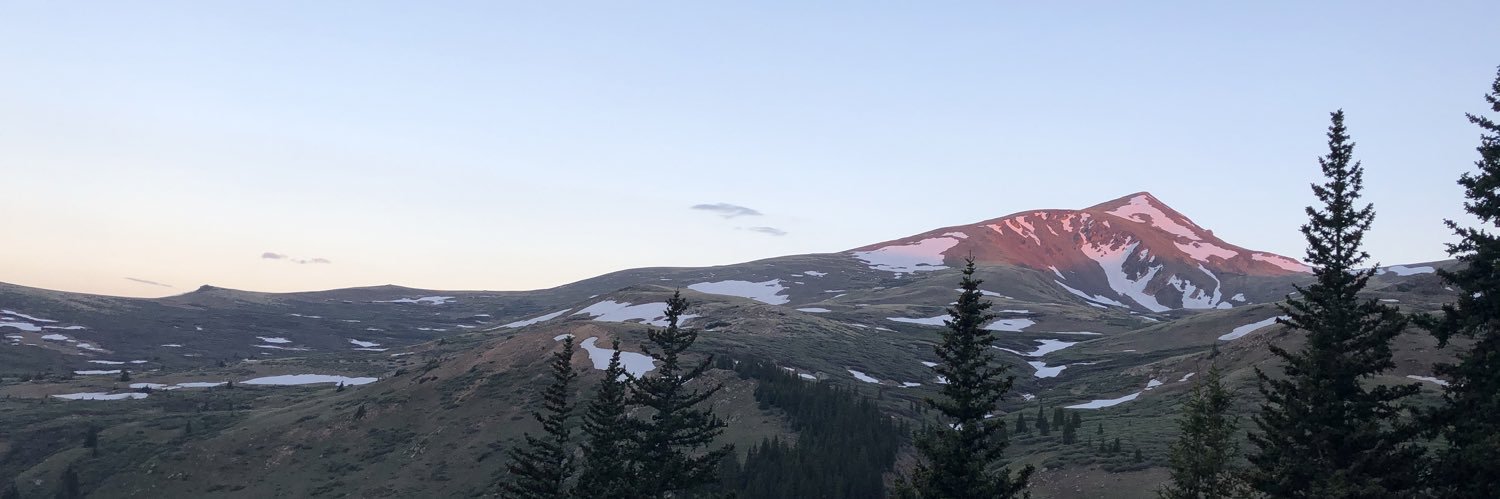 _LizardWzrd_'s profile banner image