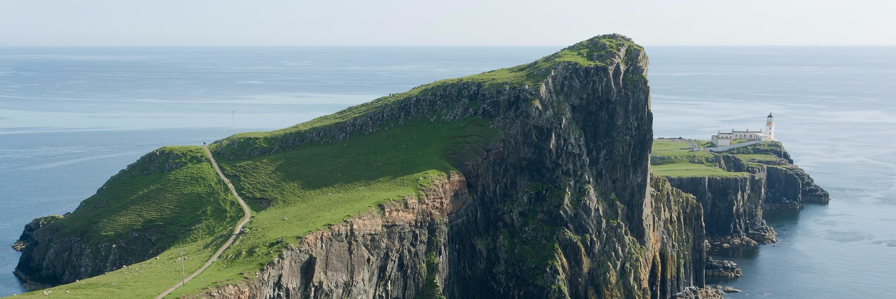 Timothy Duguid banner