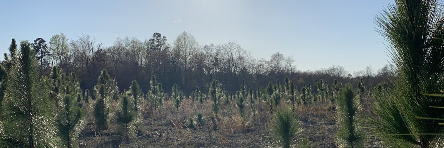 Whit Richardson banner