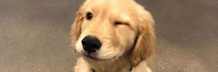 asiuLego's profile banner image