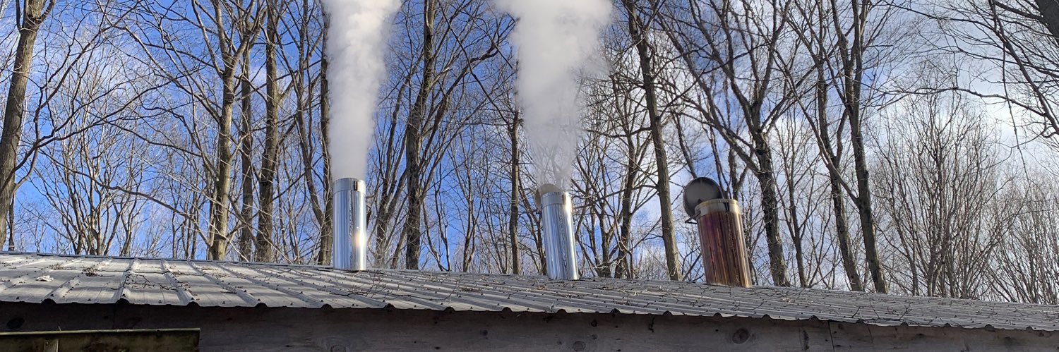 Dave Standeaven banner