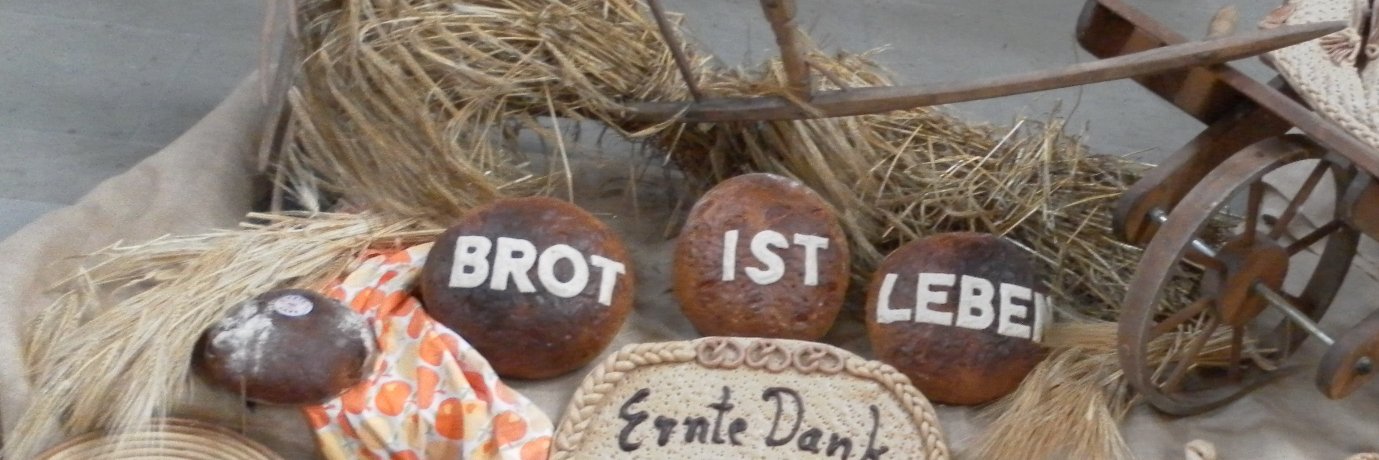 Alberto Rosado 💚 banner