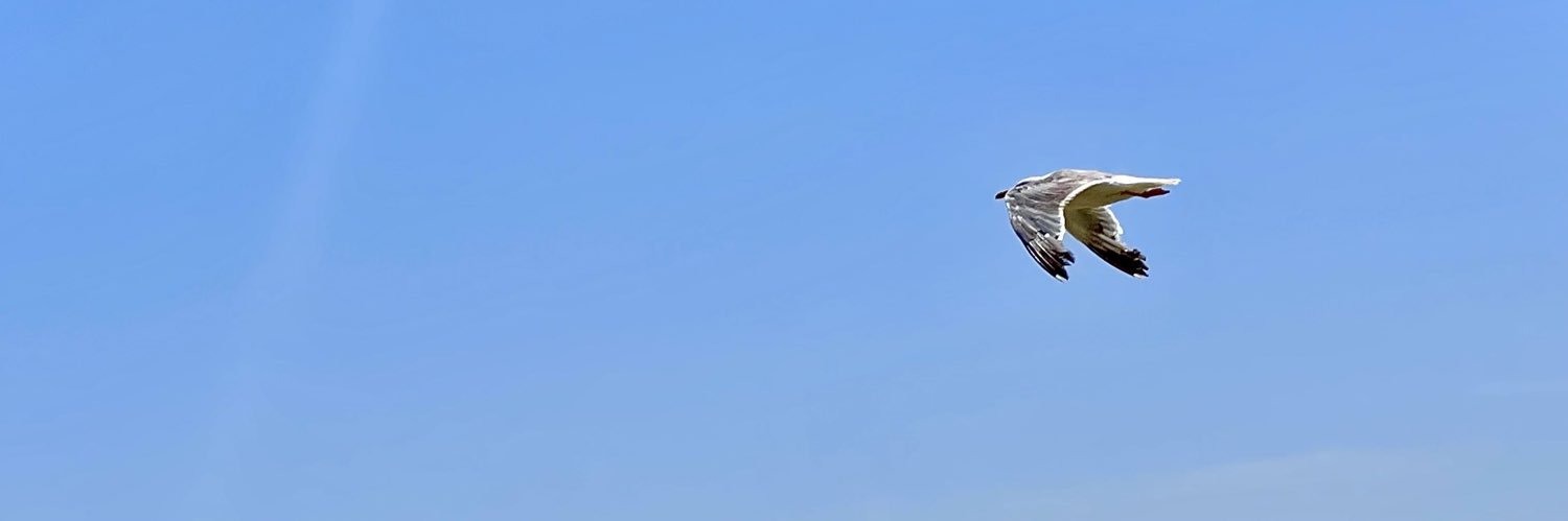 MChorowski's profile banner image