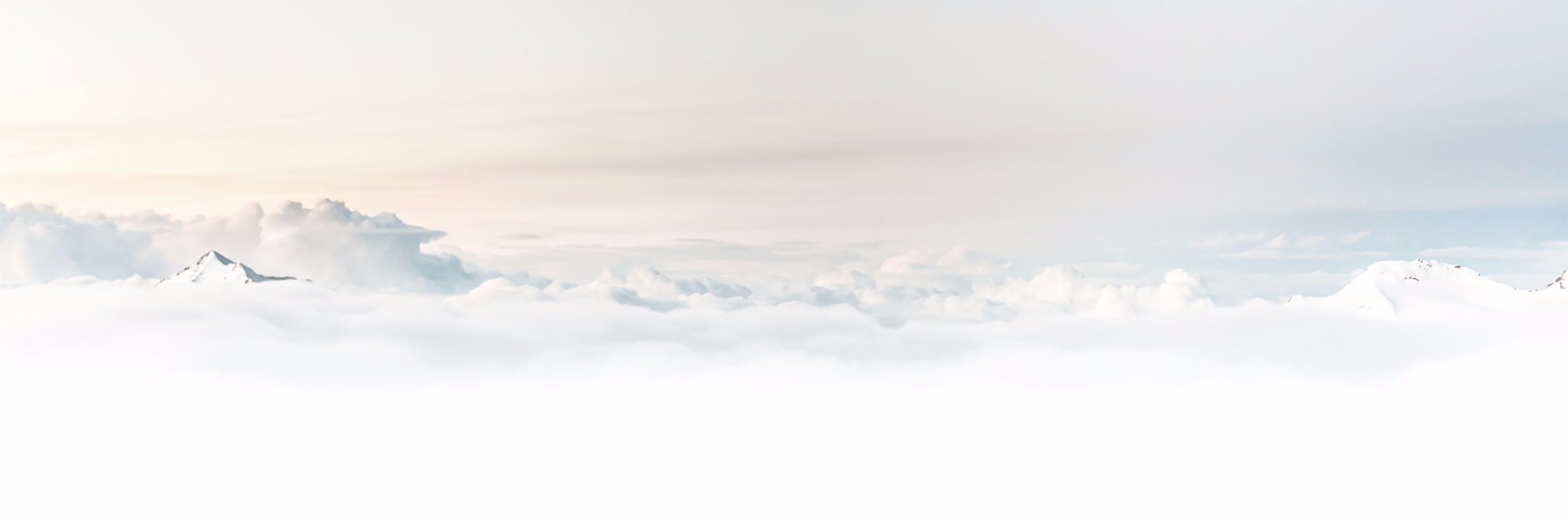 Maltissimo11's profile banner image