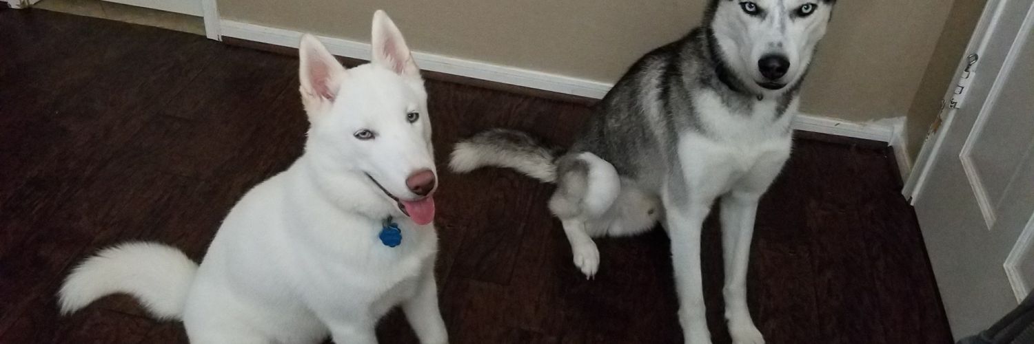michaeloramas's profile banner image