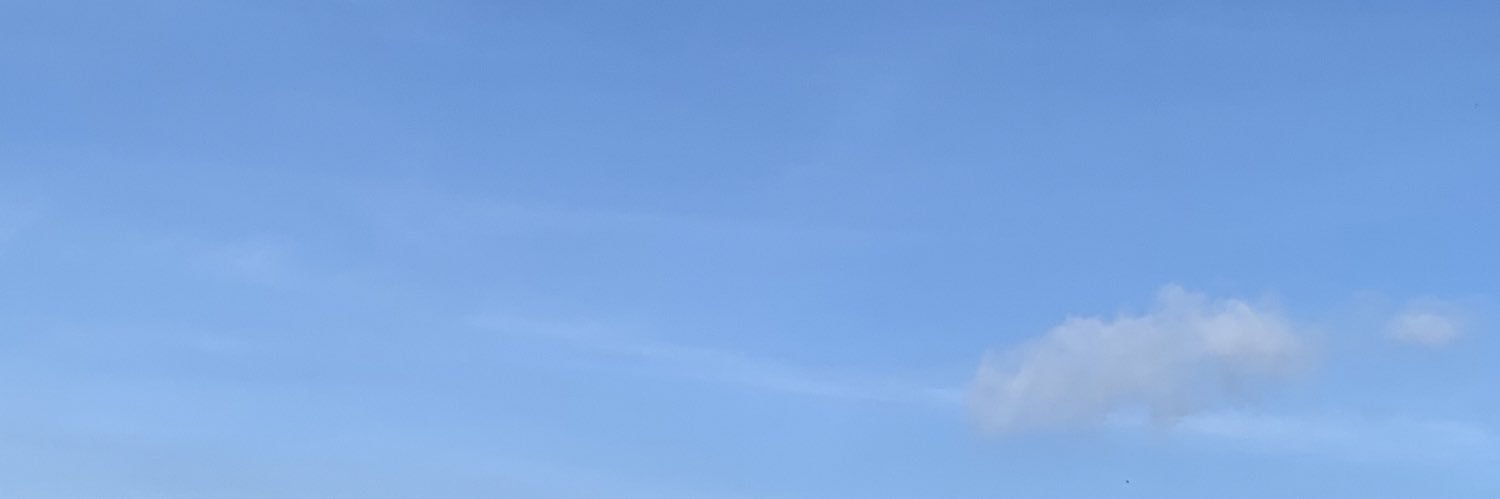 nendahe's profile banner image