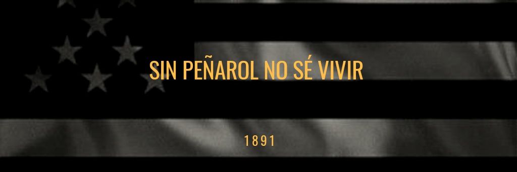 El Cana banner