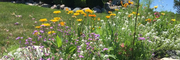 martybird Profile Banner