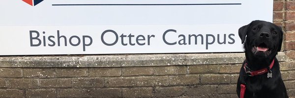 LincolnLabrador Profile Banner