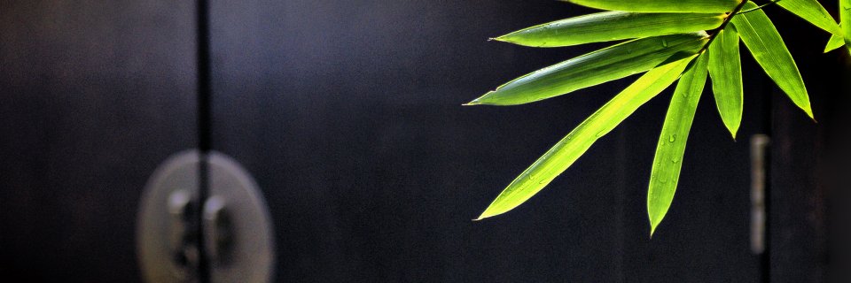 y_h_1908's profile banner image