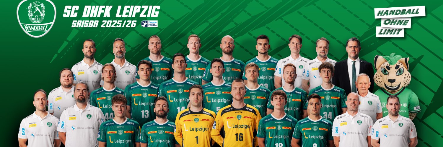 DHfK Handball banner
