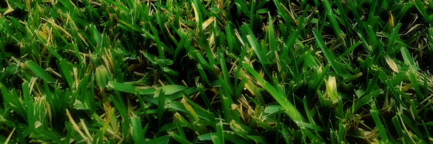 haroldbowyard's profile banner image