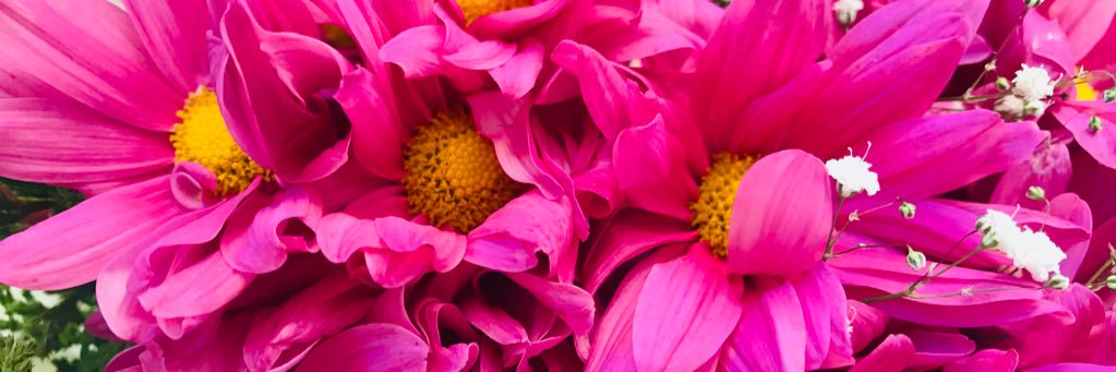 anni_roldan's profile banner image