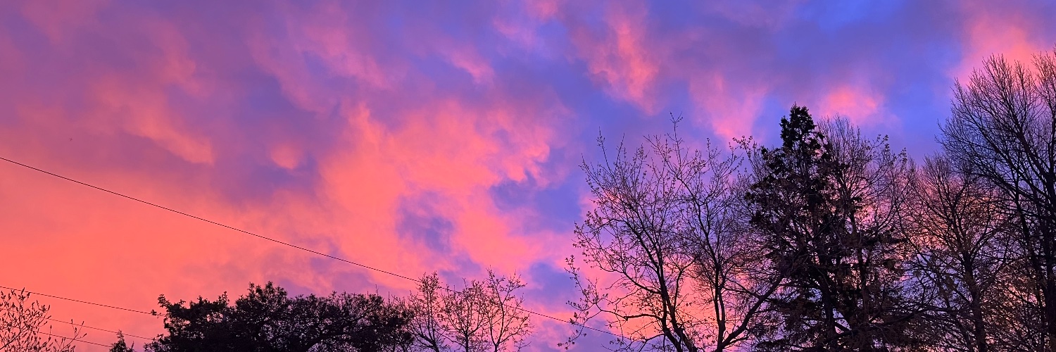 nichie ★🍊 banner