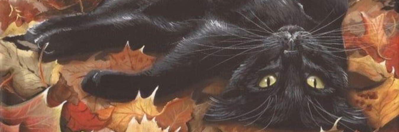 solong_fall's profile banner image