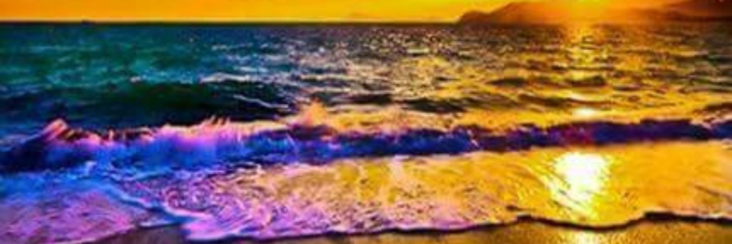 SophiaFresh's profile banner image
