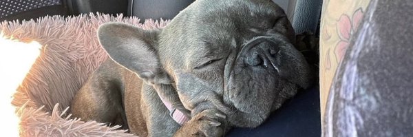 strikeoutHC Profile Banner