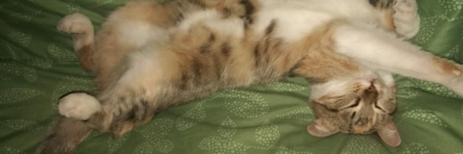 AriielRamirez's profile banner image