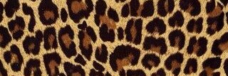 MicaMerlini's profile banner image